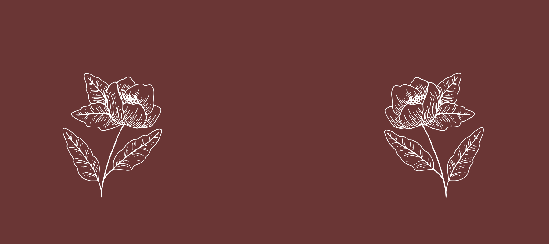 Hormones and Hair Health Collection