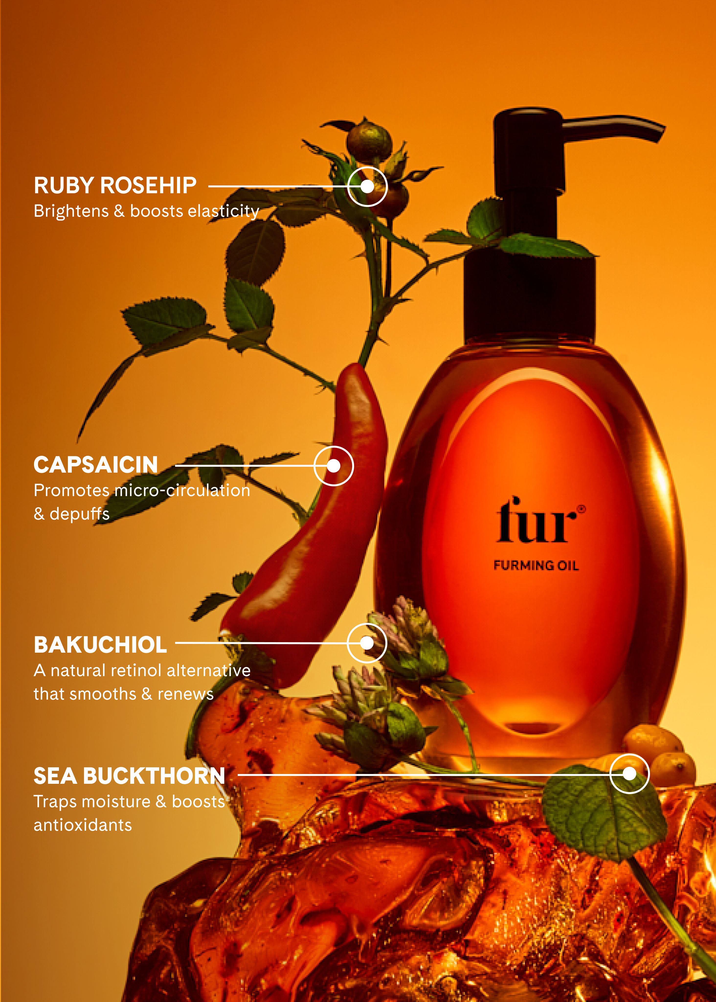 Fur Furming Oil key ingredients, bakuchiol and sea buckthorn