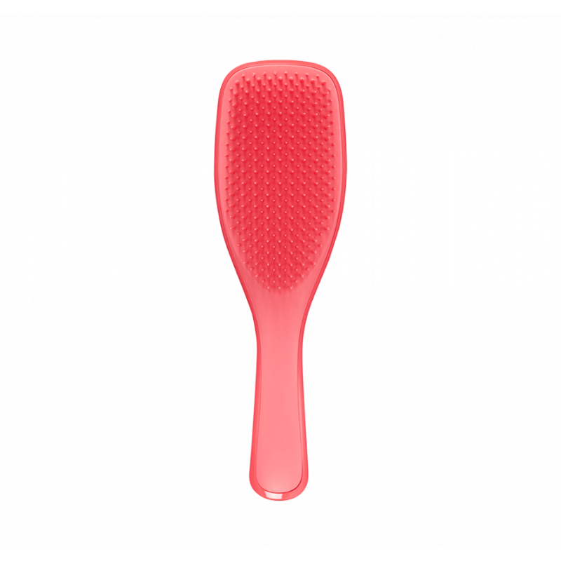 Tangle Teezer Wet Detangling Brush
