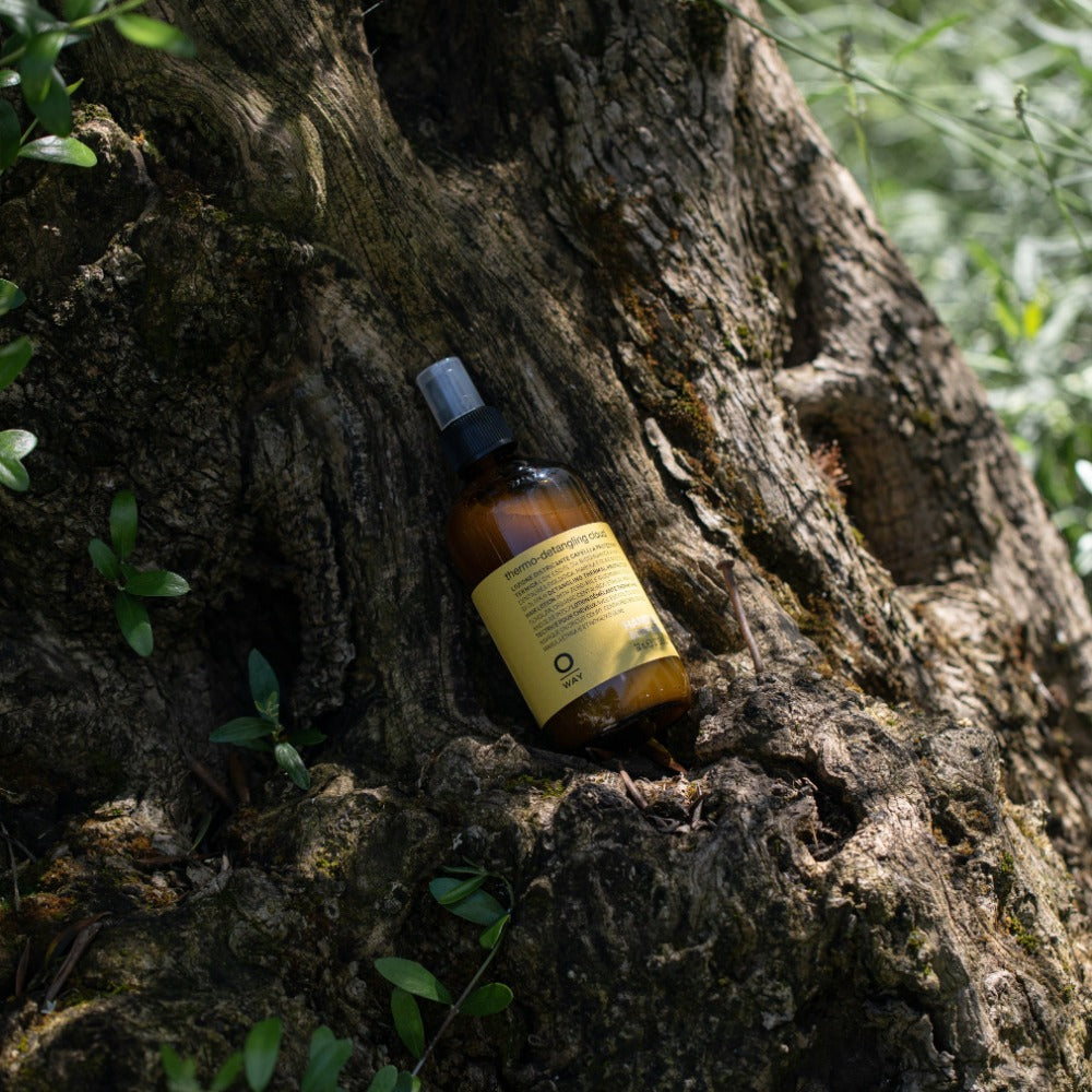Oway Thermo Detangling Cloud bottle amongst greenery