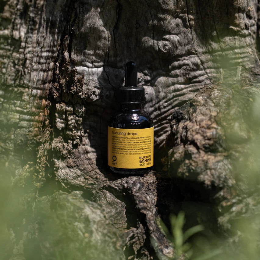 Bottle of tincture on a tree trunk with greenery around
