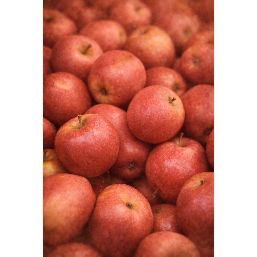 Upcycled apple seed oil, key ingredient in Oway Smooth'n Glow Hair Bath