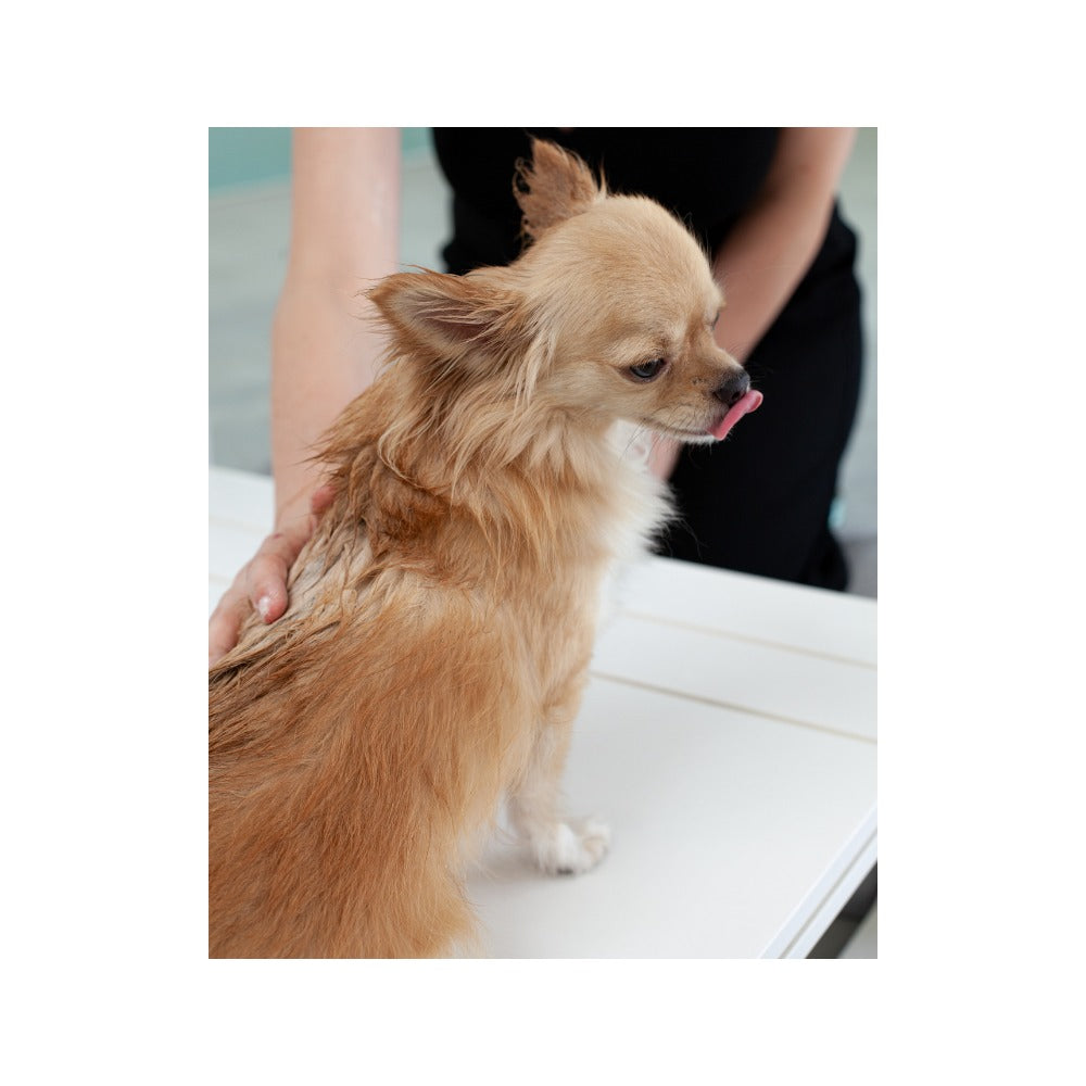 Dog being washed with Oway DUETTO Dog and Owner Bath