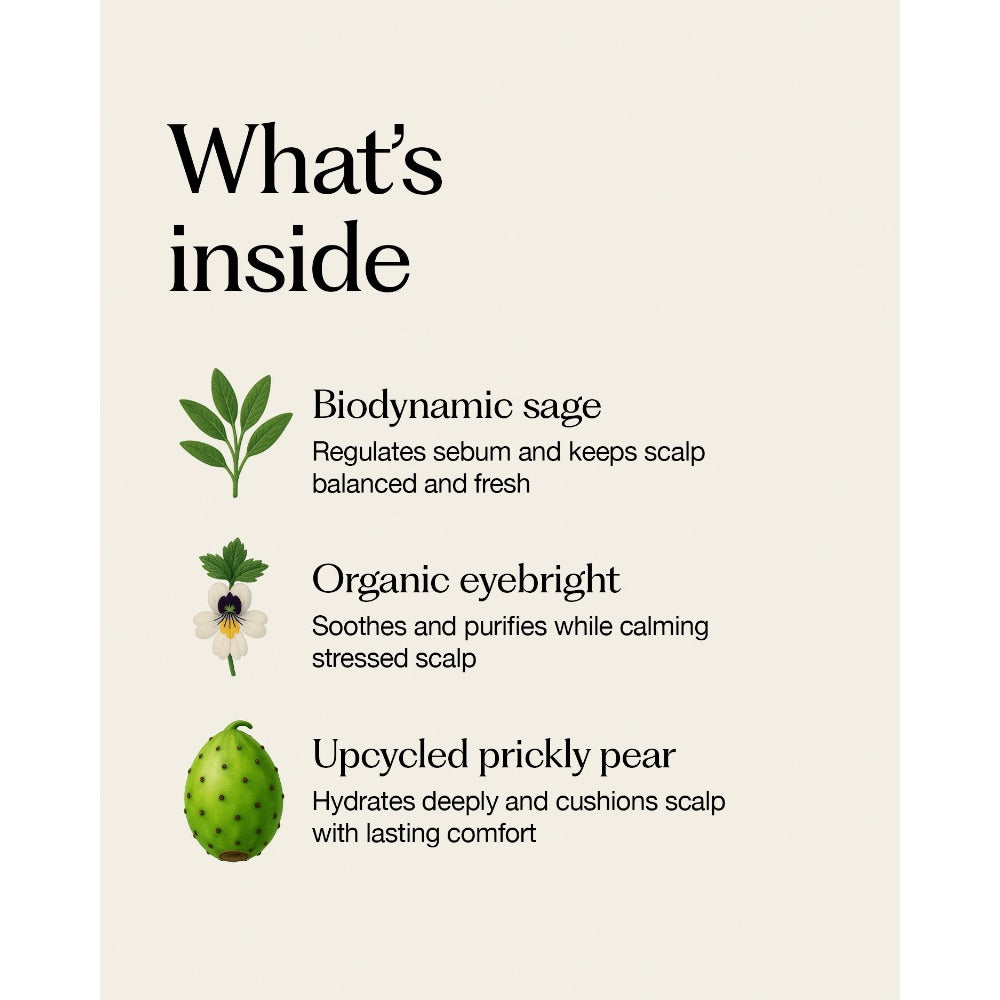 Oway Hydro-Balance Scalp Gel key ingredient highlights