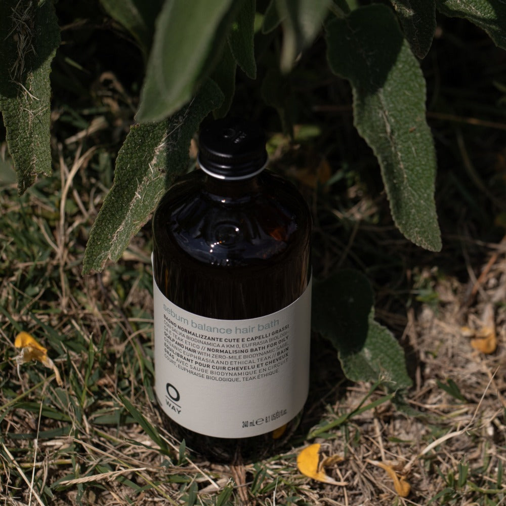 Oway Sebum Balance Hair Bath 240ml bottle amongst greenery