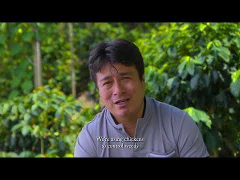 Inside Davines Essential Haircare MINU — active ingredient video